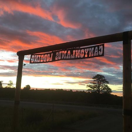 Lupine Cabin, Glamour Camping, Stunning Skies And Sunrise Views Monticello Buitenkant foto
