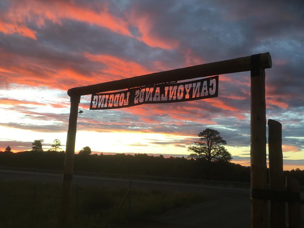 Lupine Cabin, Glamour Camping, Stunning Skies And Sunrise Views Monticello Buitenkant foto